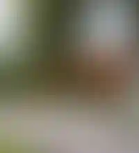 Парк «Филатов луг»