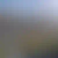 Комплексный сервис