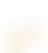 Концепция проекта